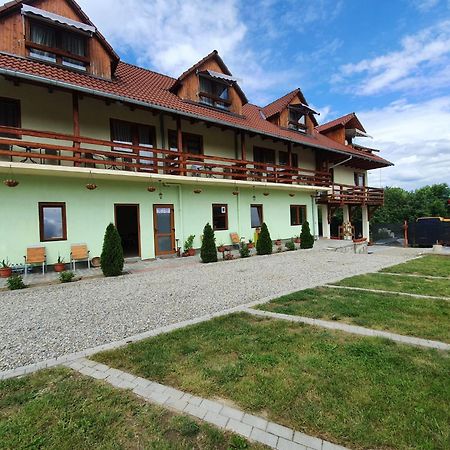 Pensiunea Leia Transfagarasan Кырцишоара Экстерьер фото
