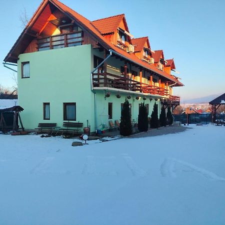 Pensiunea Leia Transfagarasan Кырцишоара Экстерьер фото